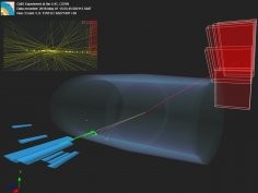 CERN, CMS collaboration
