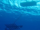 Liquid Robotics