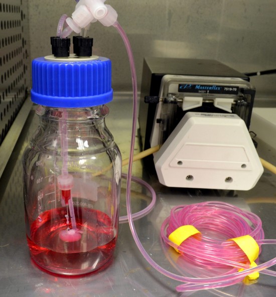 Ott Lab, Center for Regenerative Medicine, Massachusetts General Hospital