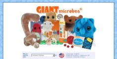 http://www.giantmicrobes.com/