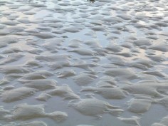 © Smarty Mouselicencja: Creative Commons