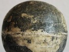 Washington Map Society