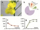 Diesel exhaust rapidly degrades floral odours used by honeybees; Robbie D. Girling, Inka Lusebrink, Emily Farthing, Tracey A. Newman & Guy M. Poppy; Scientific Reports 3, Article number: 2779; doi:10.1038/srep02779