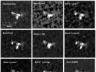 Reprinted under a CC BY license with permission from British Antarctic Survey and DigitalGlobe. doi:10.1371/journal.pone.0088655.g004