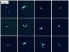 Reprinted under a CC BY license with permission from British Antarctic Survey and DigitalGlobe. doi:10.1371/journal.pone.0088655.g002