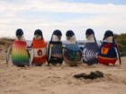 Phillip Island Nature Parks