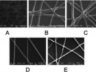 Alexander Teplenin et al. / PLOS ONE