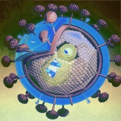 HIV© AJC1