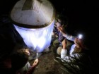 Taxon Expeditions - Iva Njunjić, CC-BY 4.0