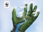 WWF