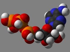 ATP