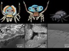 Kay Xia; D. McCoy et al/Proceedings of the Royal Society B 2019