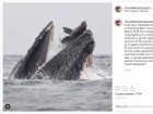 Instagram/chasedekkerphotography