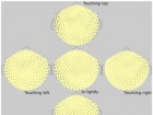 Khan, S., Cohen, D. Magnetotrichography: Measuring the dc magnetic field produced by hair follicles