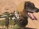 U.S. Army