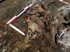 Instytut Archeologii Rosyjskiej Akademii Nauk