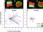 PNAS