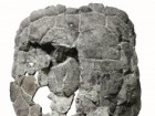 Instytut Paleobiologii PAN