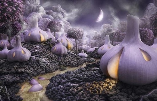 Carl Warner