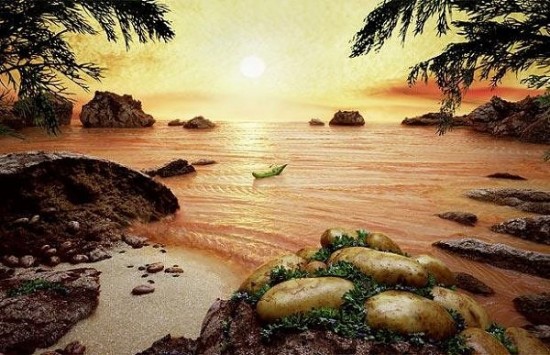 Carl Warner