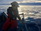 Photo credit Marine Mammal Lab, University of Otago