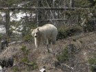 Parks Canada. Sonia Nicholl
