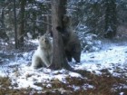 Parks Canada (2019)