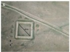 G. Shelach-Lavi et al.