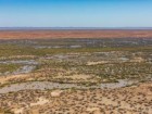 NSW National Parks and Wildlife Service