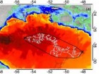 Światowa Organizacja Meteorologiczna