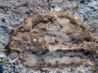 Alex Wigman, courtesy of Israel Antiquities Authority