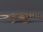 Prehistoryczne gady Polski