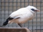 ZOO Wrocław