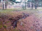 Katedra Ekologii i Zoologii Kręgowców Uniwersytetu Gdańskiego