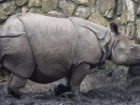 ZOO Wrocław