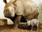 ZOO Wrocław