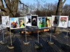 Krakowskie Stowarzyszenie Komiksowe