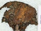 H. Březinová, R. Cernovhova, Instytut Archeologii