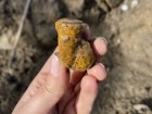Katarzyna Oleszek, Arkadia Firma Archeologiczna