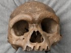 Muzeum Historii Naturalnej