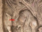 Source of Image: Qun Zhang, Institute of Anthropology, Xiamen University