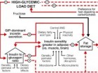 Ludwig et al., The American Journal of American Nutrition
