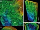 D.D. Zhang et al., Science Bulletin, Creative Commons