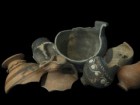 Adam Williams, Albion Archeology