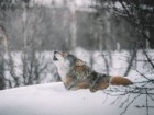Federico Di Dio photography, Unsplash