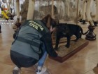Guardia Civil