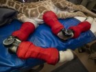 San Diego Zoo Wildlife Alliance