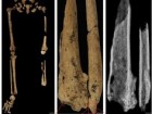 Maloney, T.R., Dilkes-Hall, I.E., Vlok, M. et al., Nature (2022)