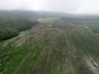 2022 VOPA and Belize Institute of Archaeology, NICH