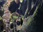 Regionalna Dyrekcja Lasów Państwowych w Katowicach, FB